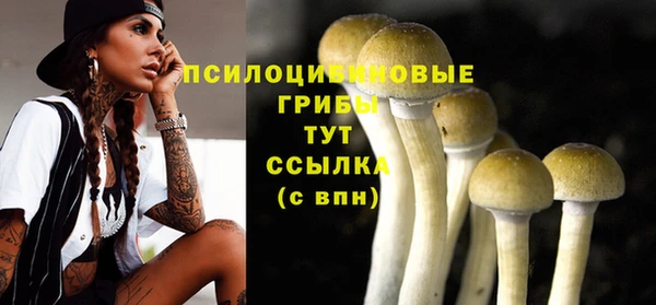 mix Нея