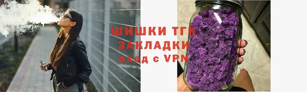 дмт Новозыбков