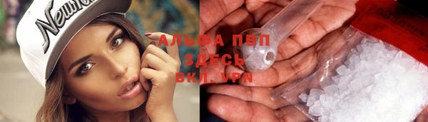 дмт Новозыбков