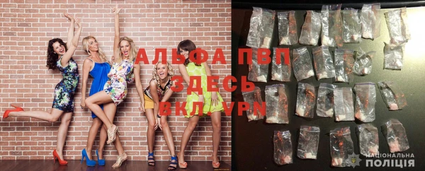 дмт Новозыбков