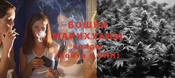 дмт Новозыбков