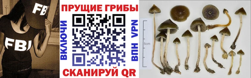 Галлюциногенные грибы Magic Shrooms  МЕГА маркетплейс  Сыктывкар 