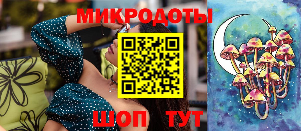Сыктывкар  Псилоцибиновые грибы Psilocybine cubensis  Вход с VPN 