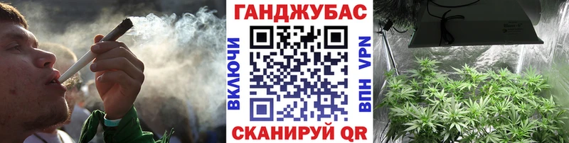 Бошки марихуана конопля  что такое   Сыктывкар 